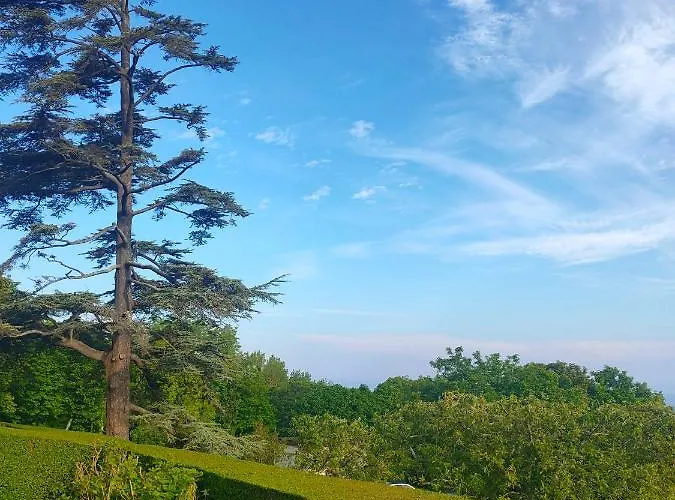 アパート Brise Du Large - Grand 6 Personnes Magnifique Vue